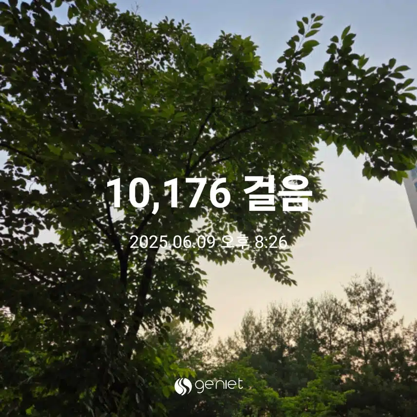 만보걷기운동 