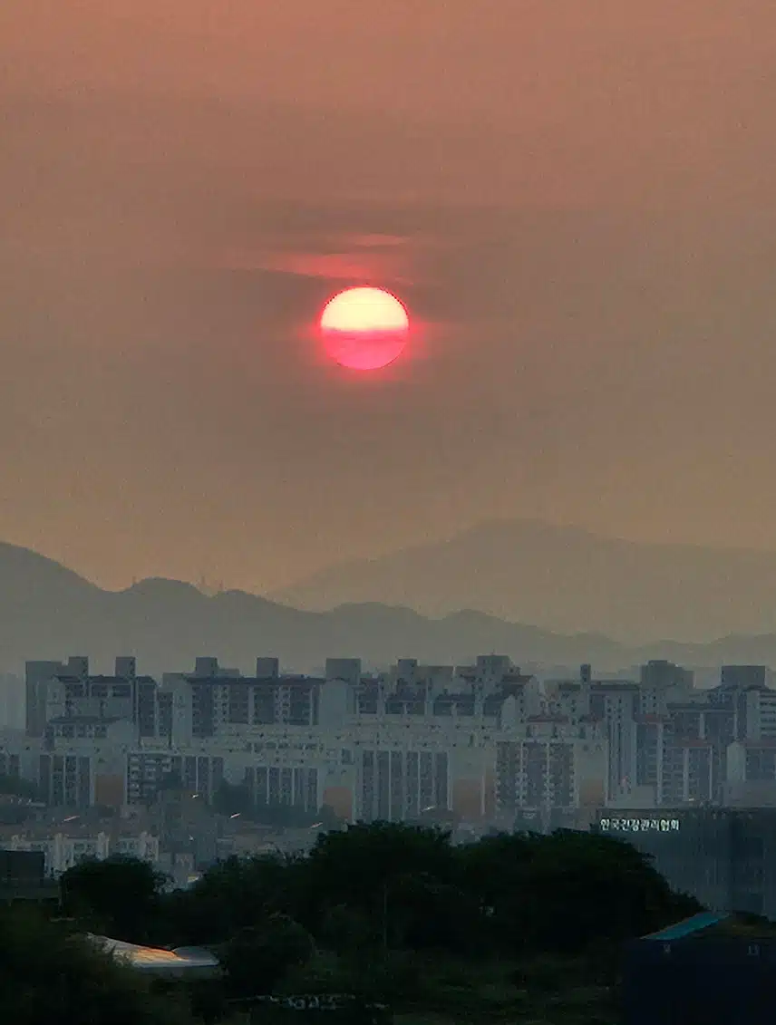 붉은 노을빛 산책길 웃음소리가 끝없네요.