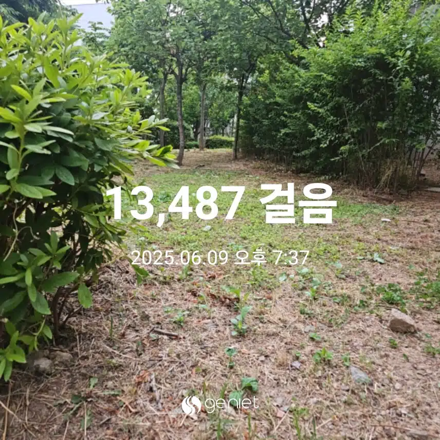 붉은 노을빛 산책길 웃음소리가 끝없네요.