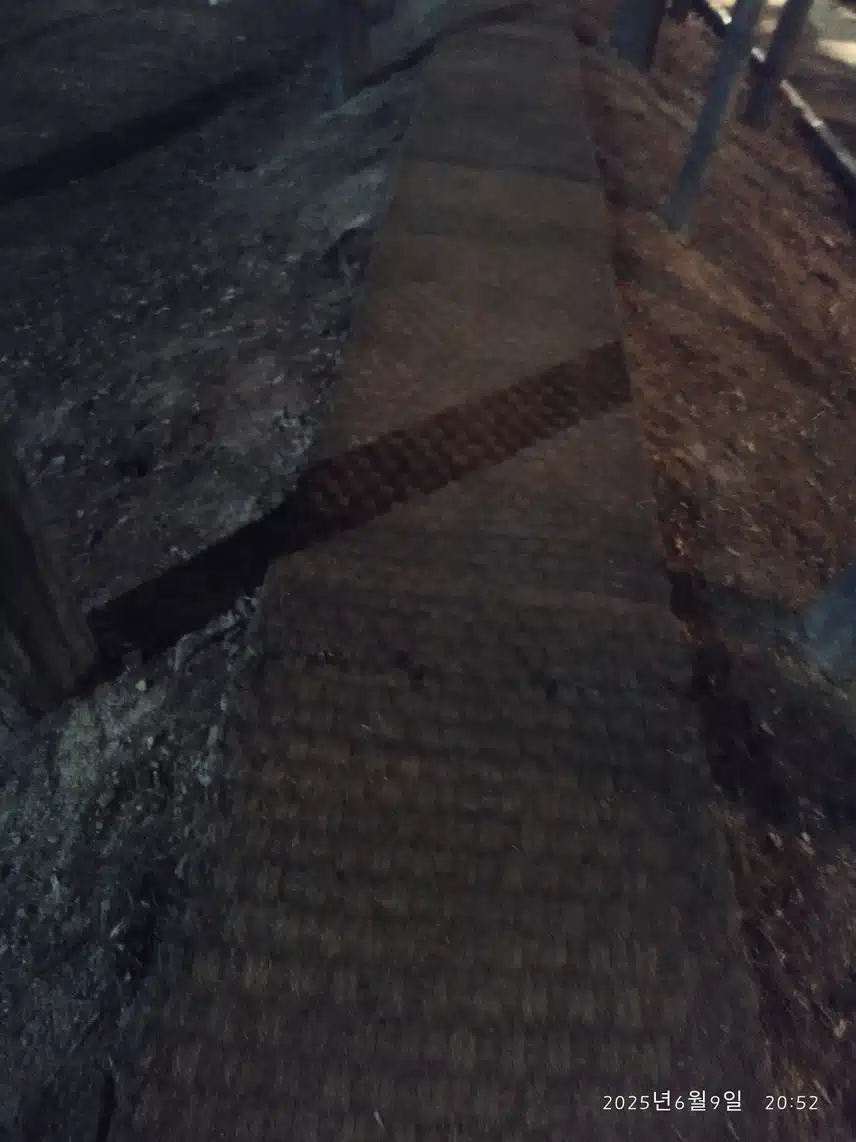 6.9 저녁산책