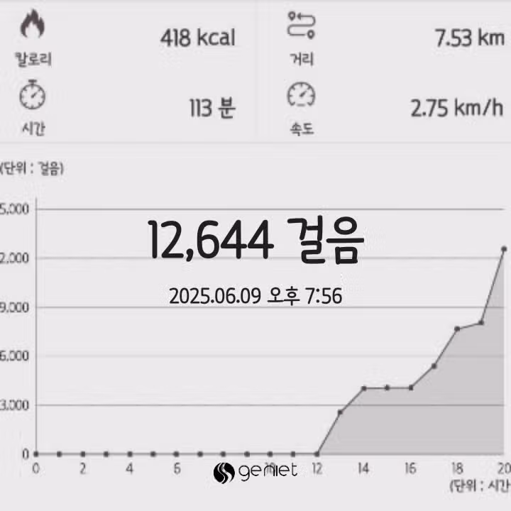 만보 걷기