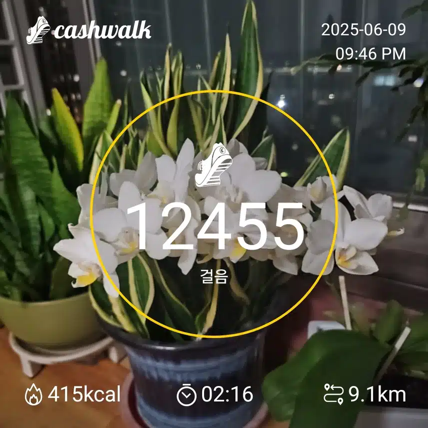 인증 