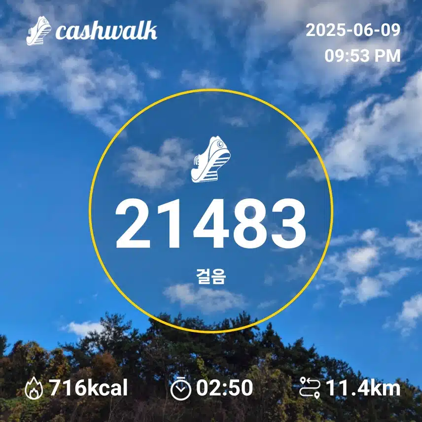 인증