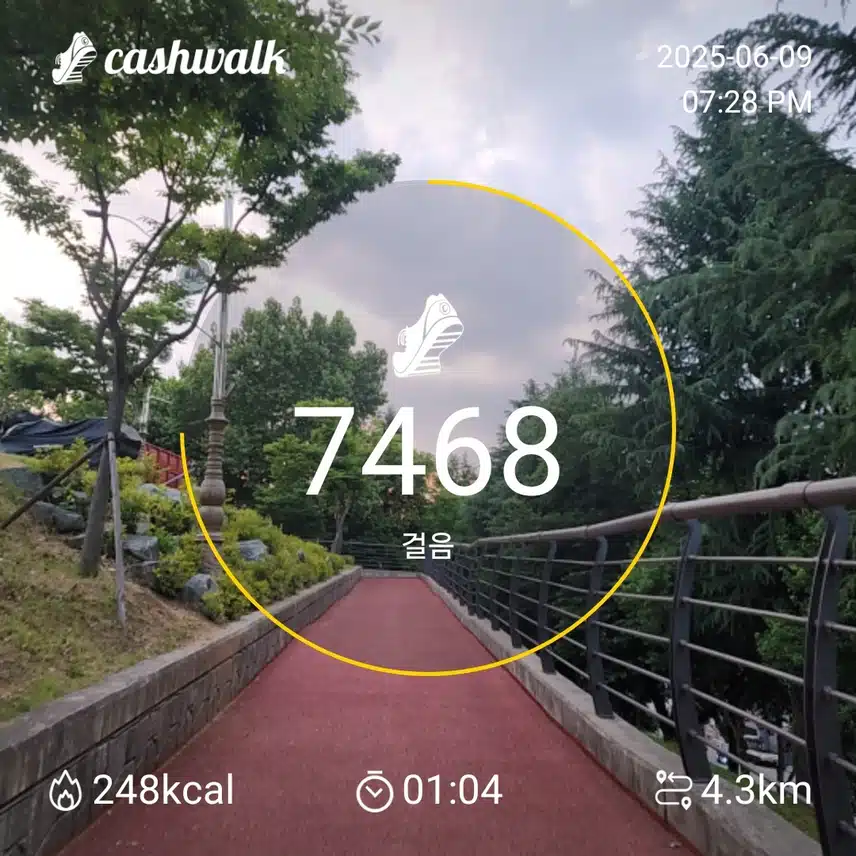인증