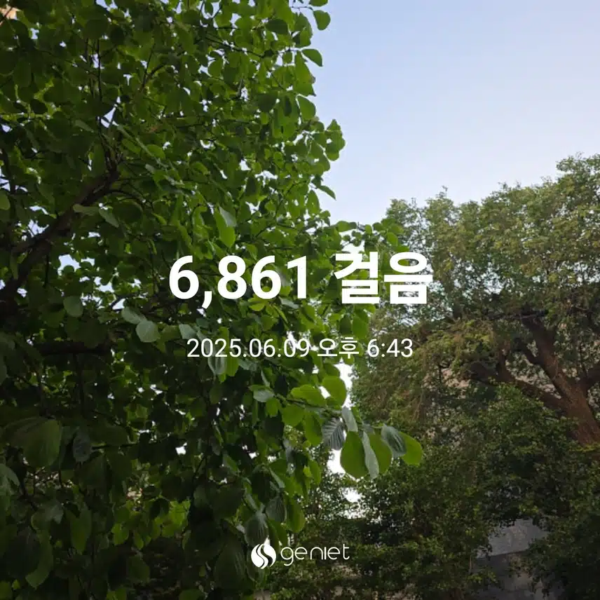 월요일 마무리 