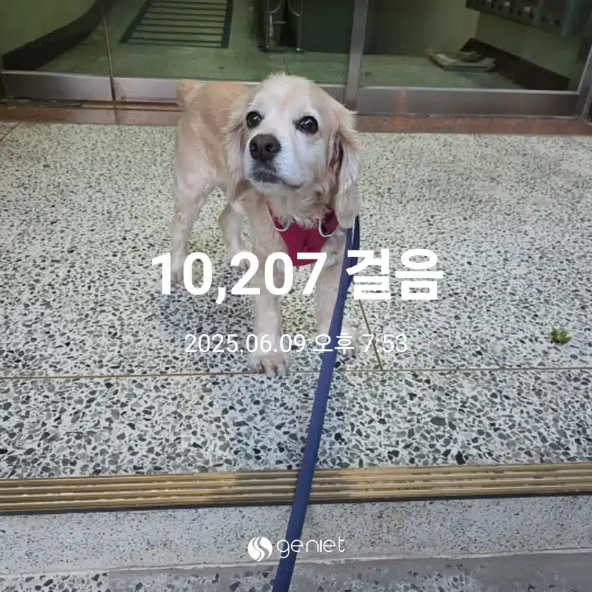 월요일 마무리 