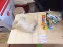 board-img