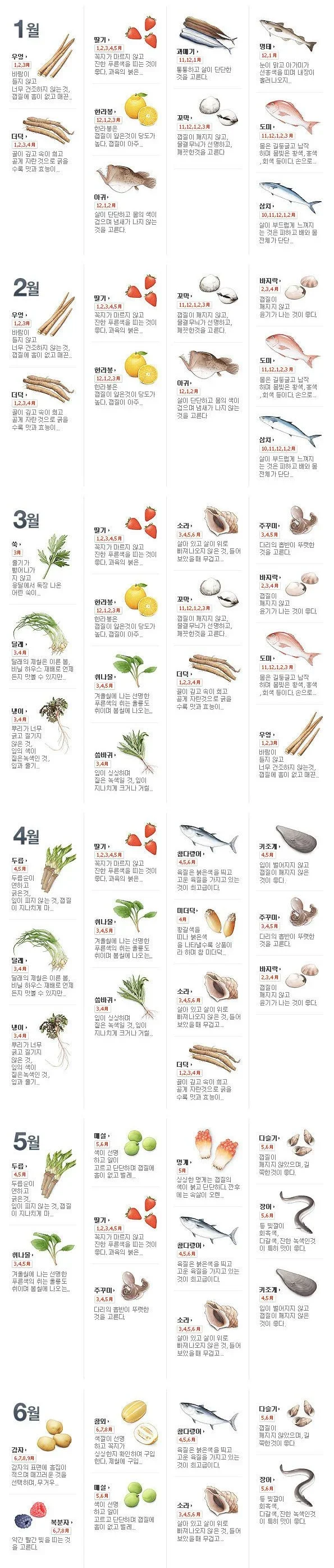 1월-6월 제철음식