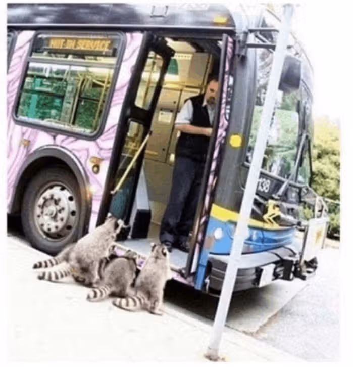애버랜드 가나요?