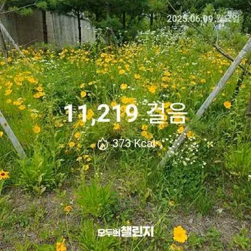 6월 9일 만천보 완주 