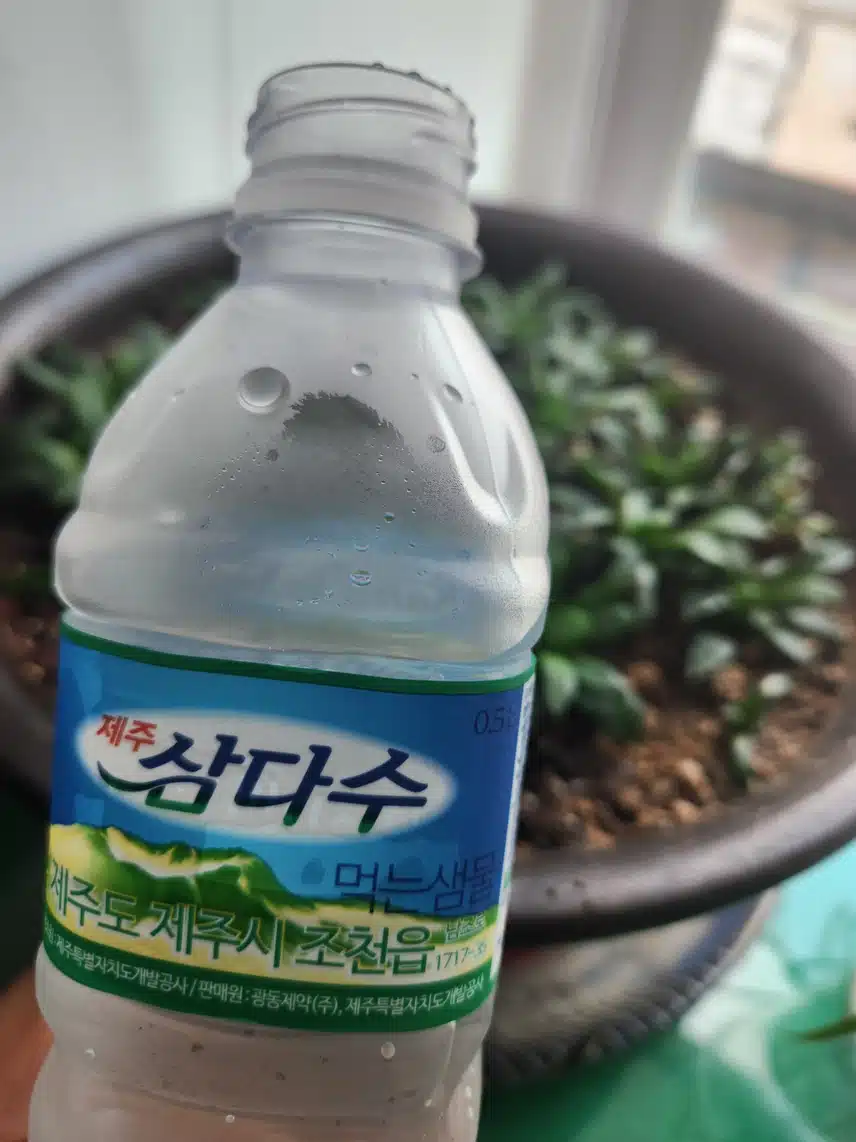 삼다수 인증