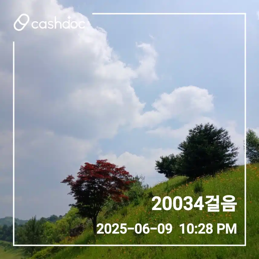 오늘도 2만보 너끈히 걸었네염 