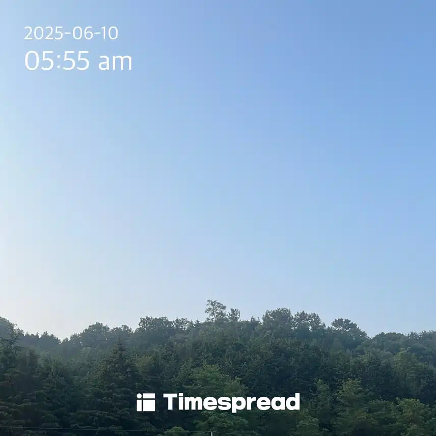 하늘보기