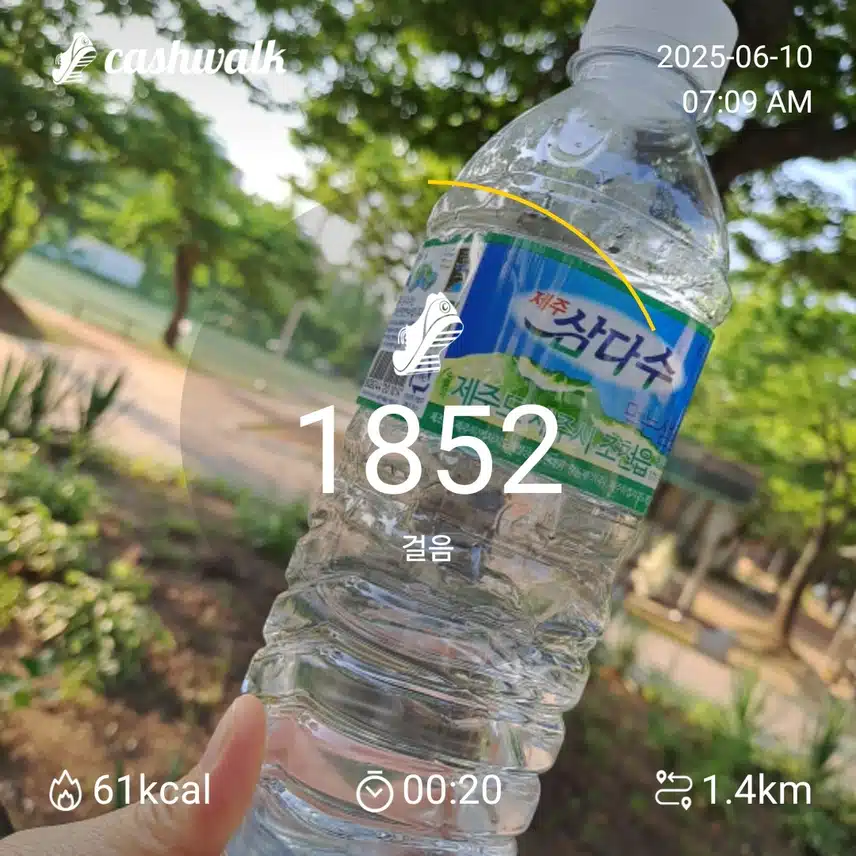 인증