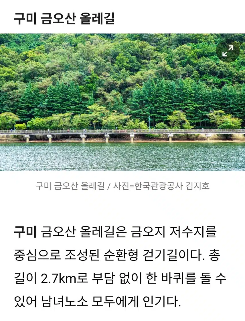 금오산 올레길 부모님도 좋아하는 걷기 좋은곳입니다