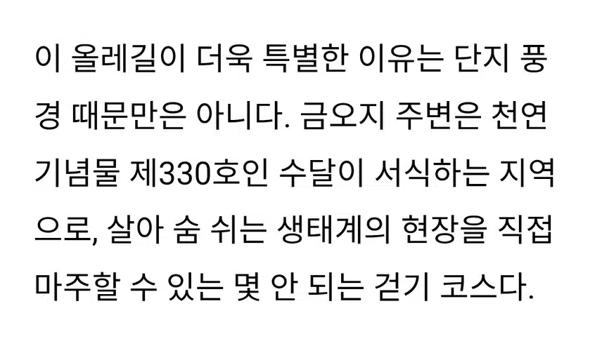 금오산 올레길 부모님도 좋아하는 걷기 좋은곳입니다