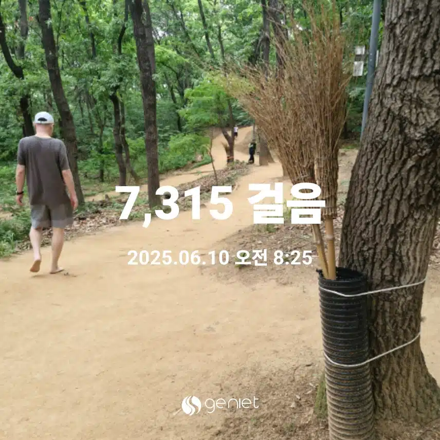 감사한 숲길 산책