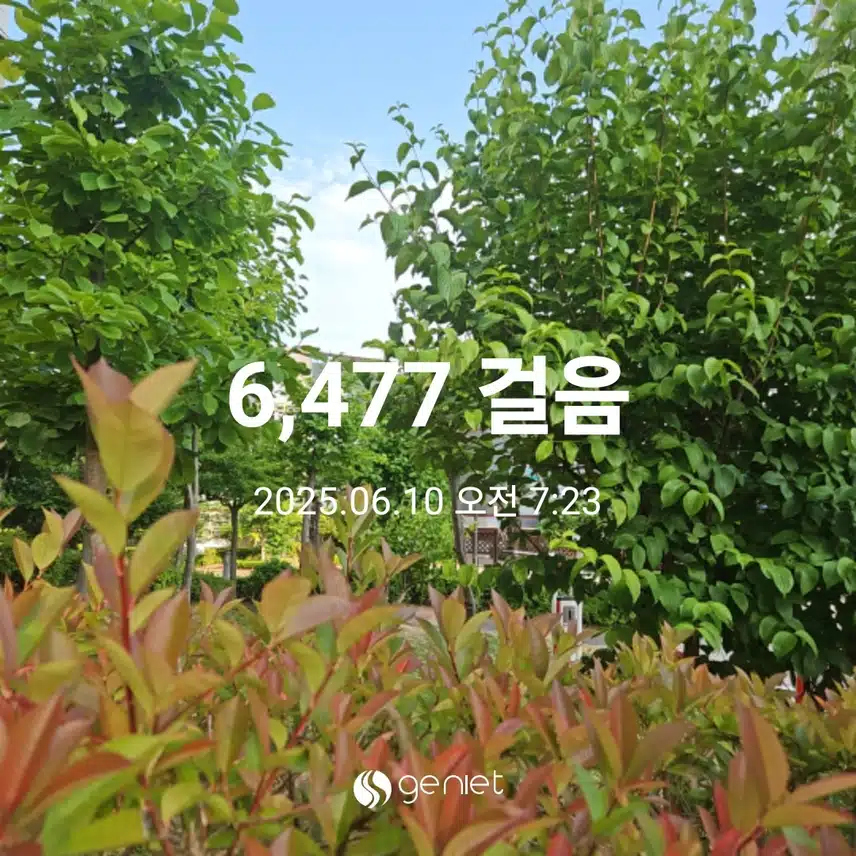 오전 산책길 
