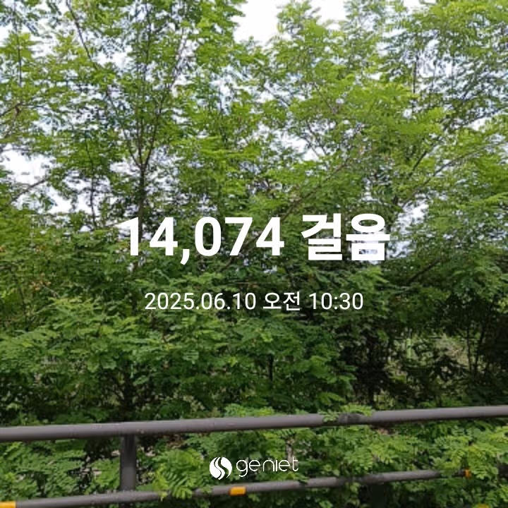 오전 운동 