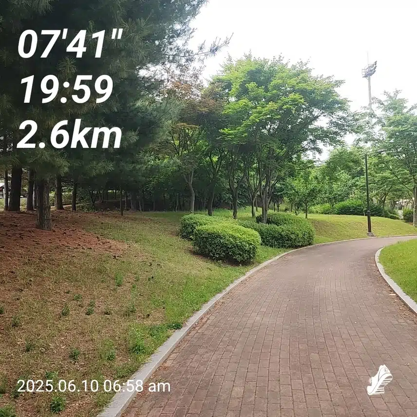 새벽에 걷고, 뛰고 왔어요^^