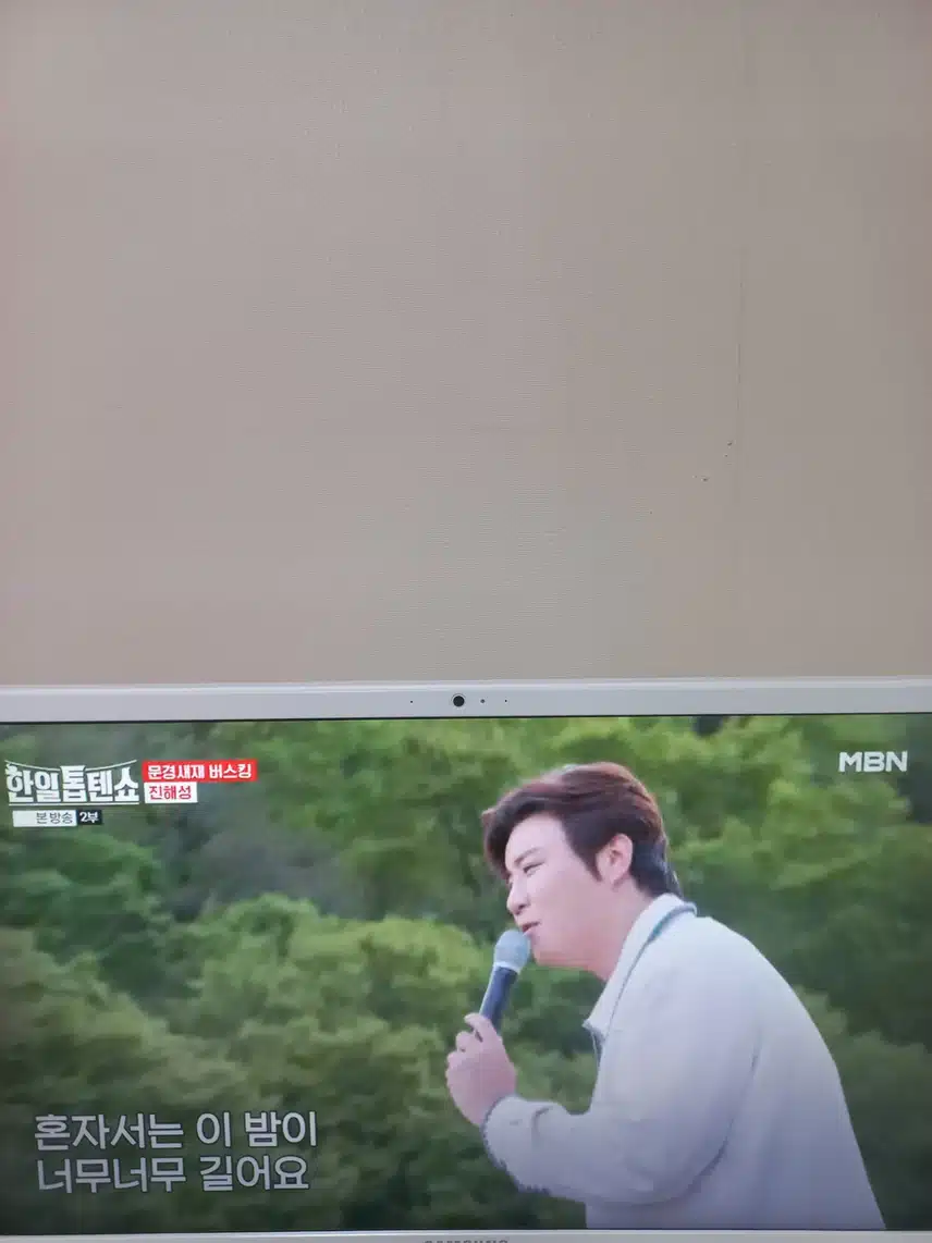 진해성님의 땡벌 신나요