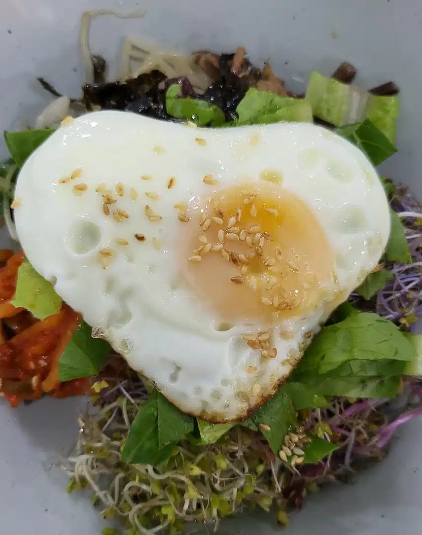 새싹 비빔밥  한 그릇으로 🌱 
