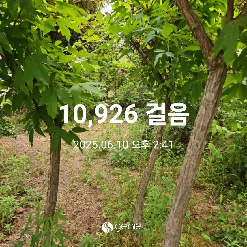  솔솔 바람부는 산책길 걸었네요. 🌳