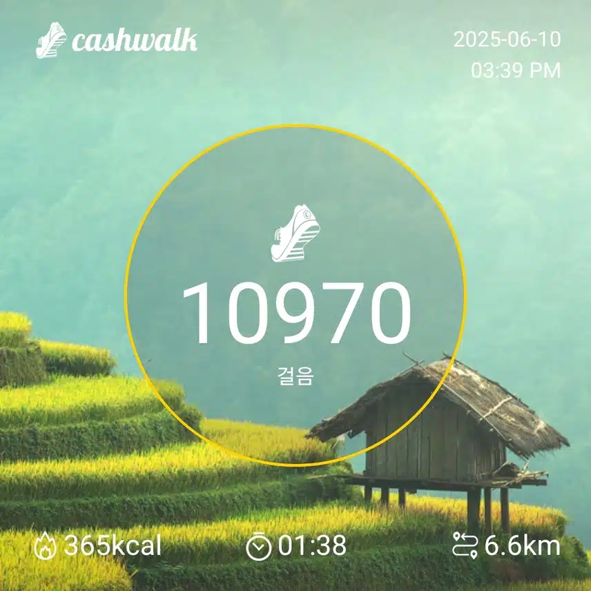 화요일 만보걷기
