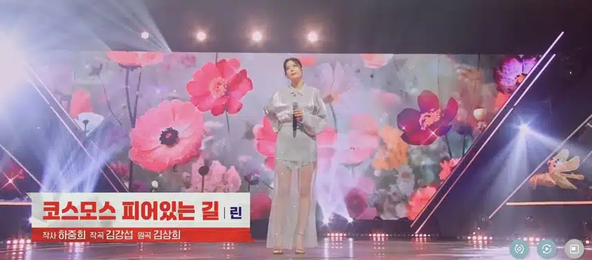 코스모스 들판을 보는듯한 무대