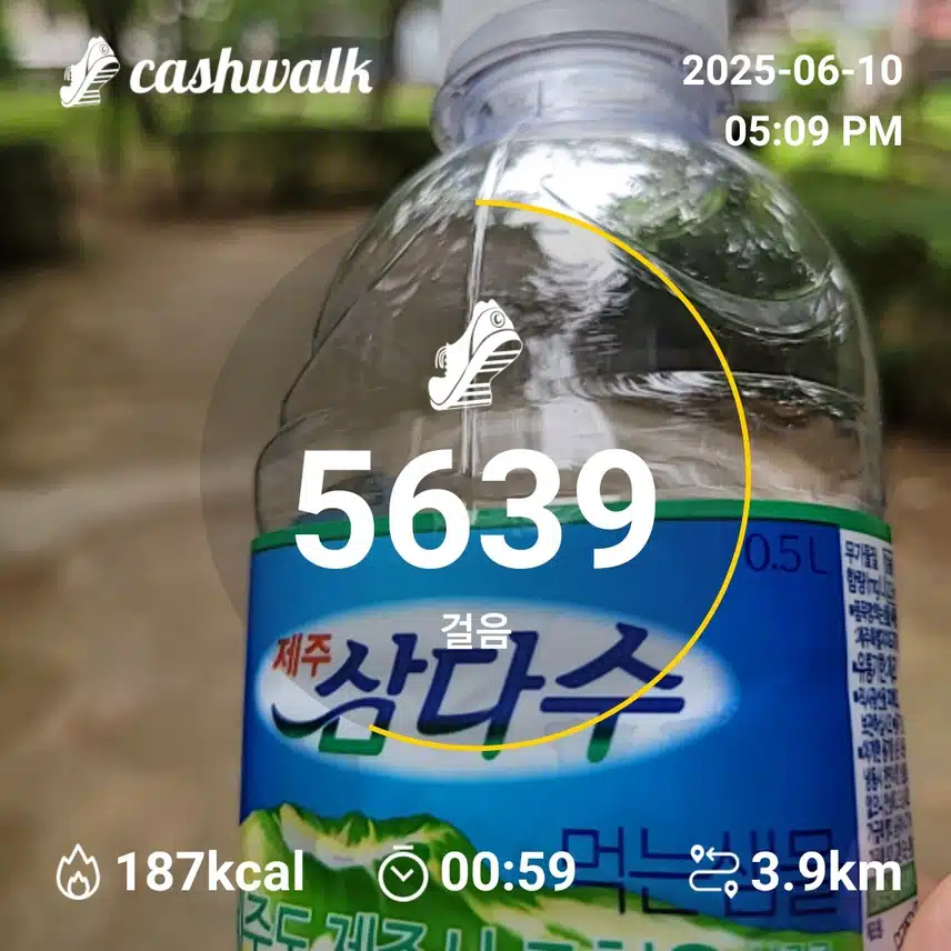 인증