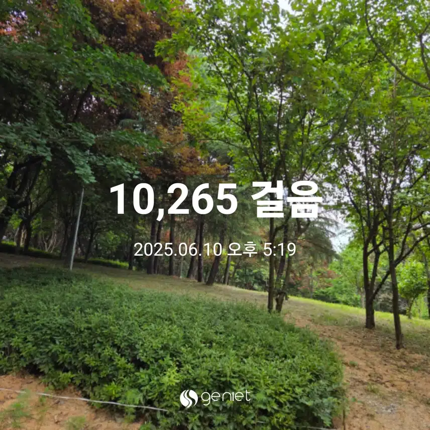 만보 걸었어요 