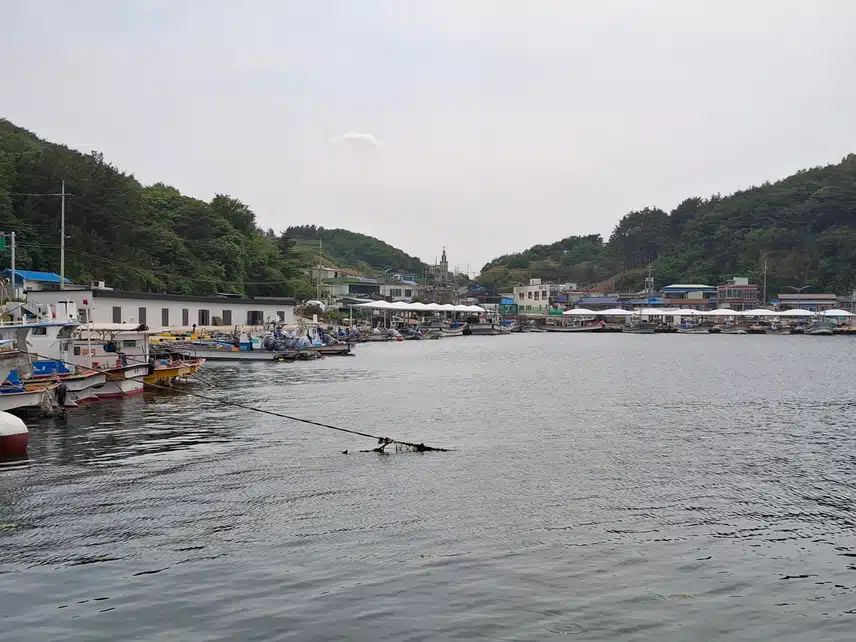 바다보고 왔어요.