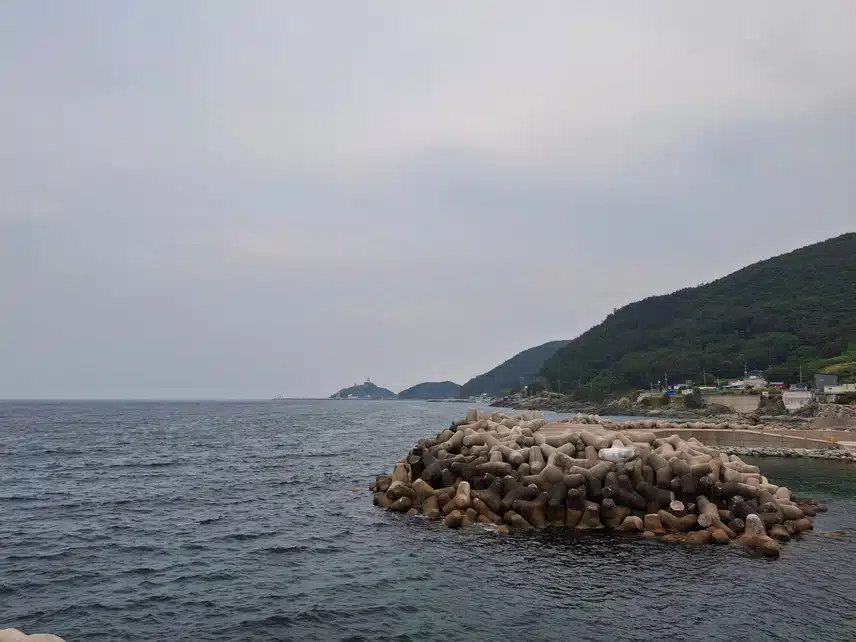 바다보고 왔어요.