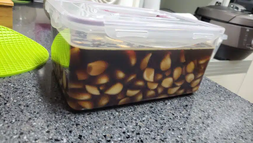 햇마늘짱아치