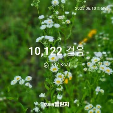 6월 10일 만보 완주 