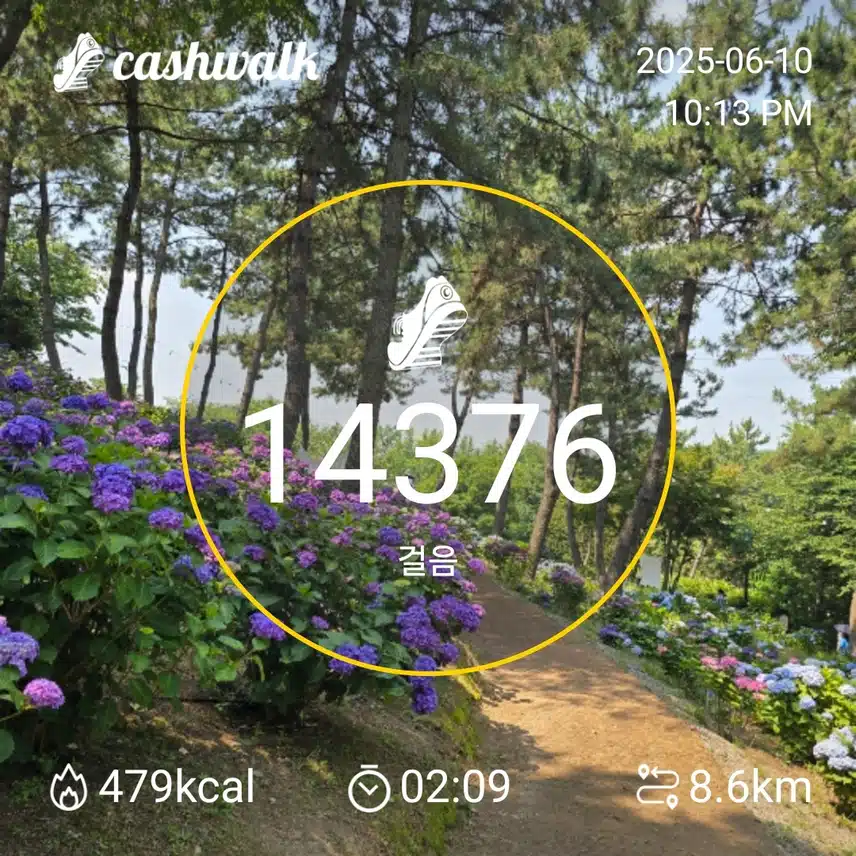 만보걷기 