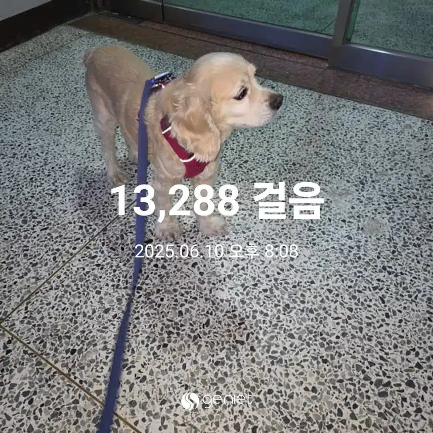 화요일 마무리 