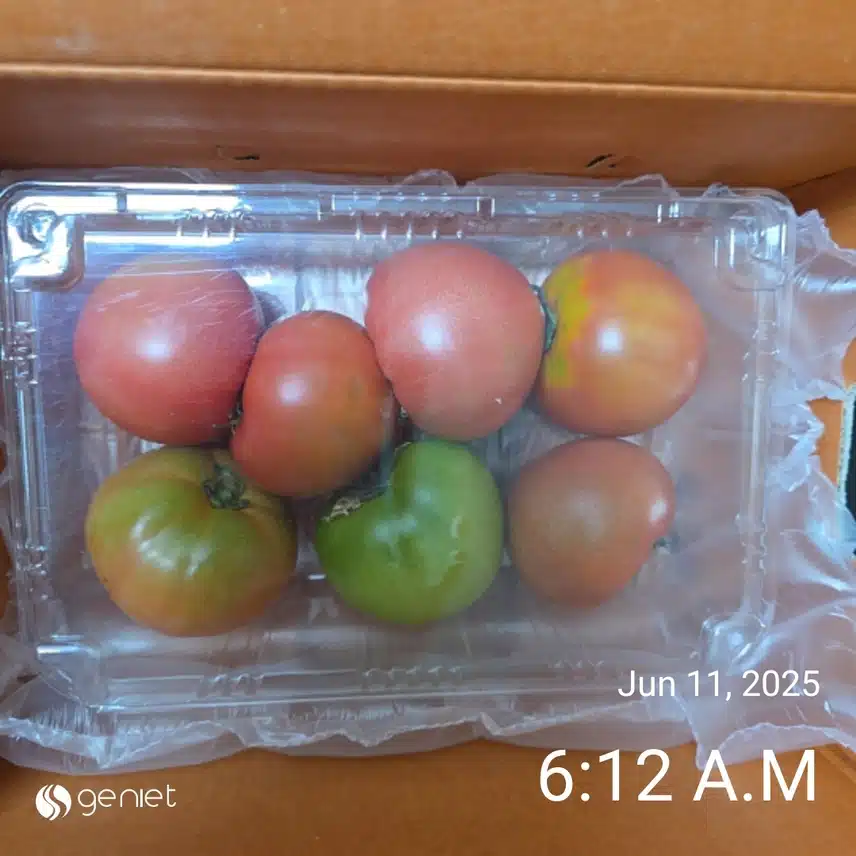 수요일 아침 