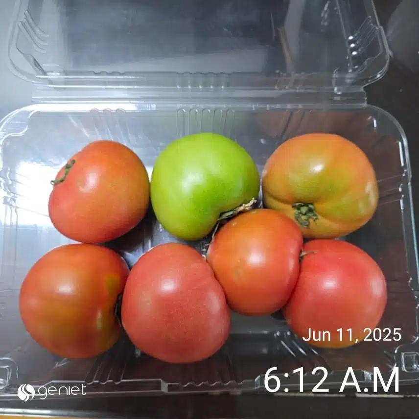 수요일 아침 