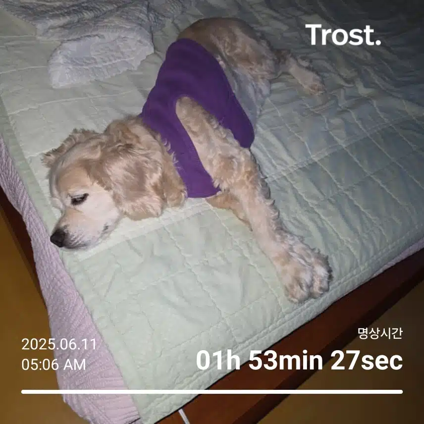 수요일 아침 