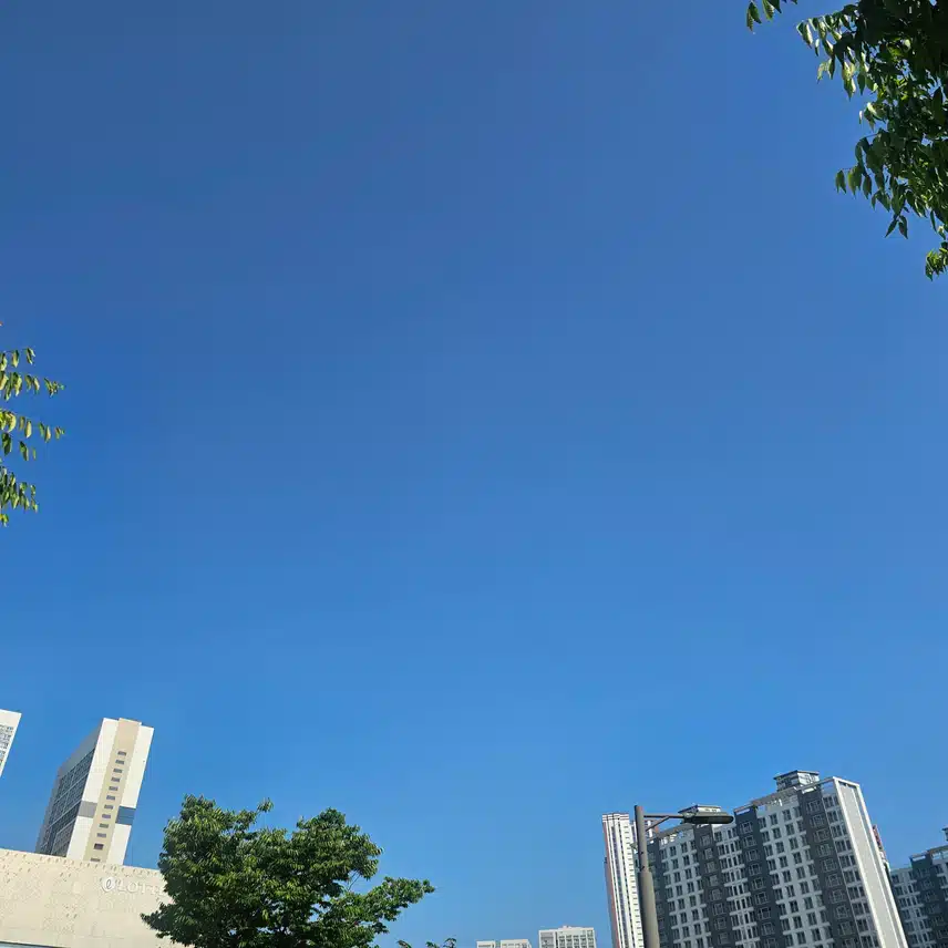 도보로 출퇴근하기