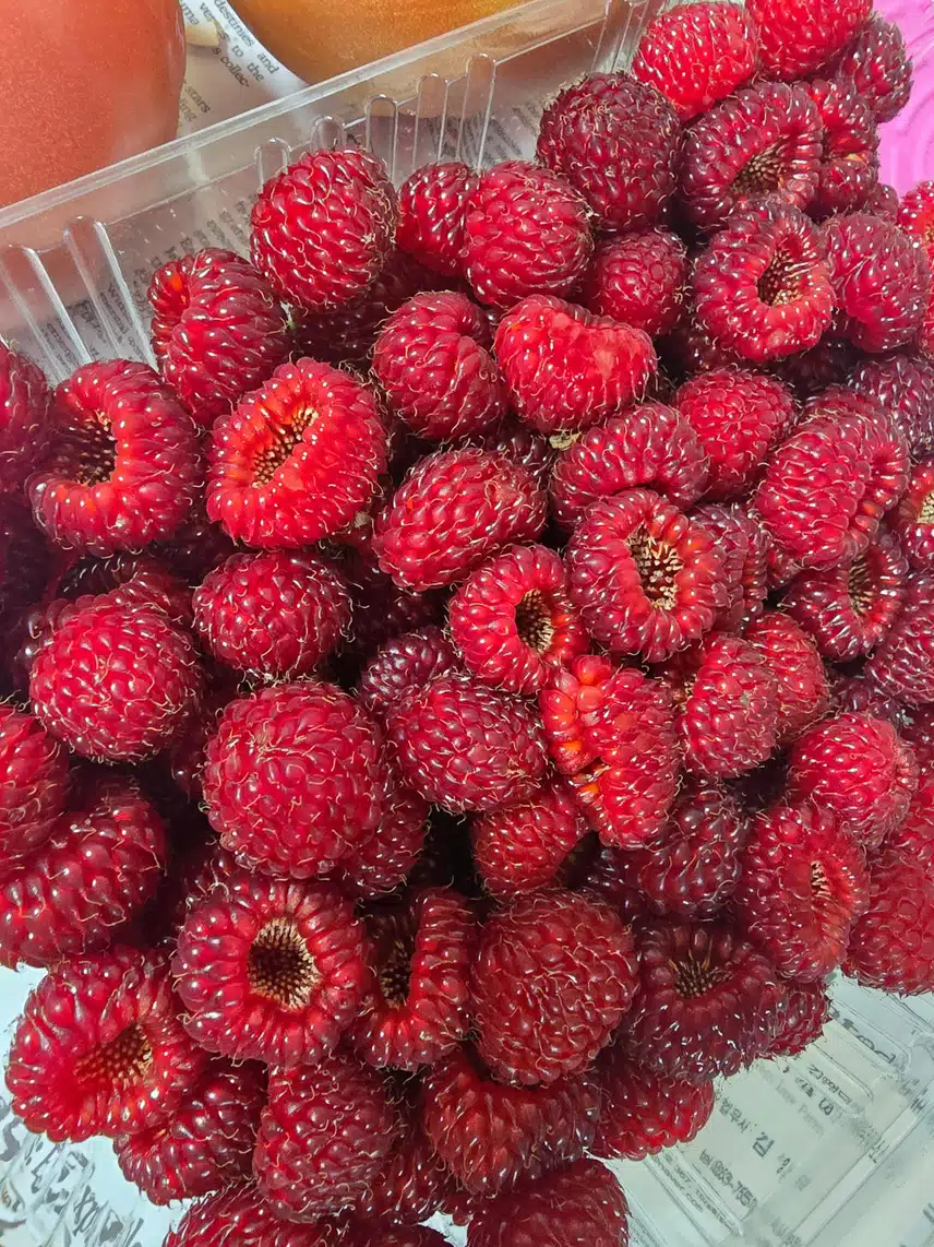 산딸기