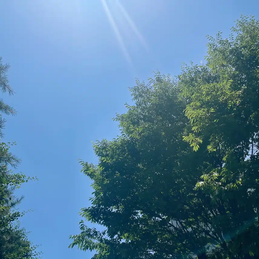 더워요ㅠ
