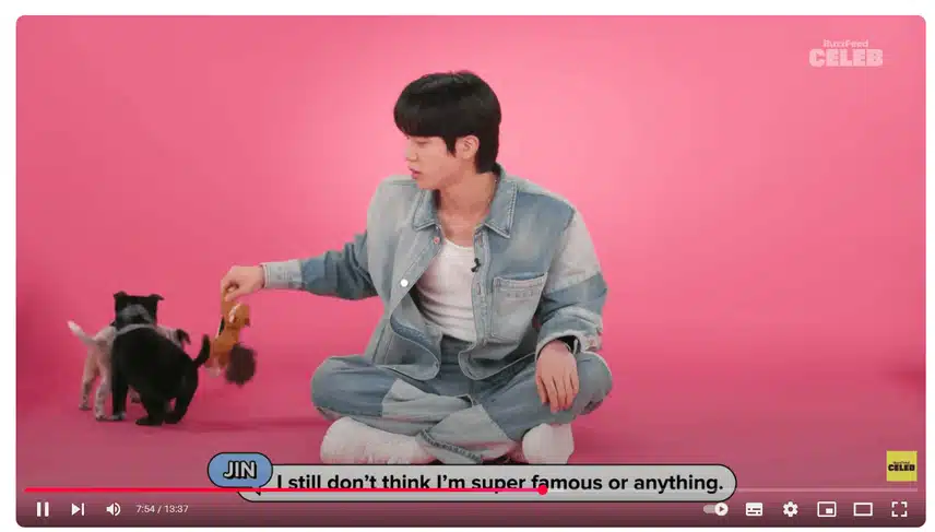 진님이랑 멍멍이랑 청이랑 다 너무 좋은 조합이죠