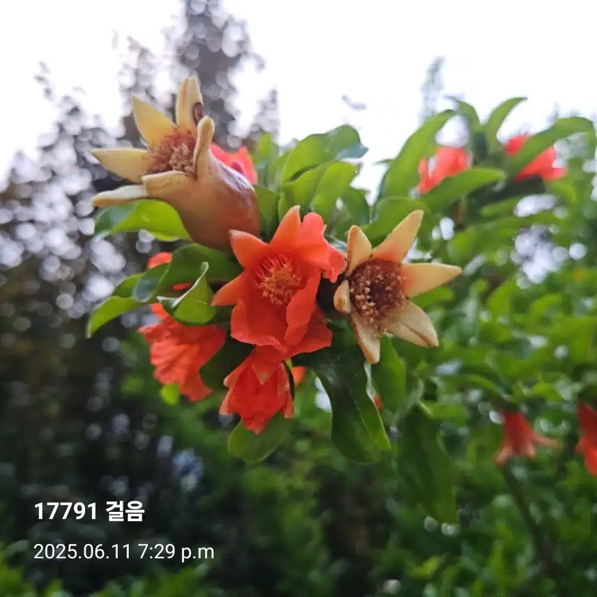 붉은 노을빛 바라보며^^~🤗