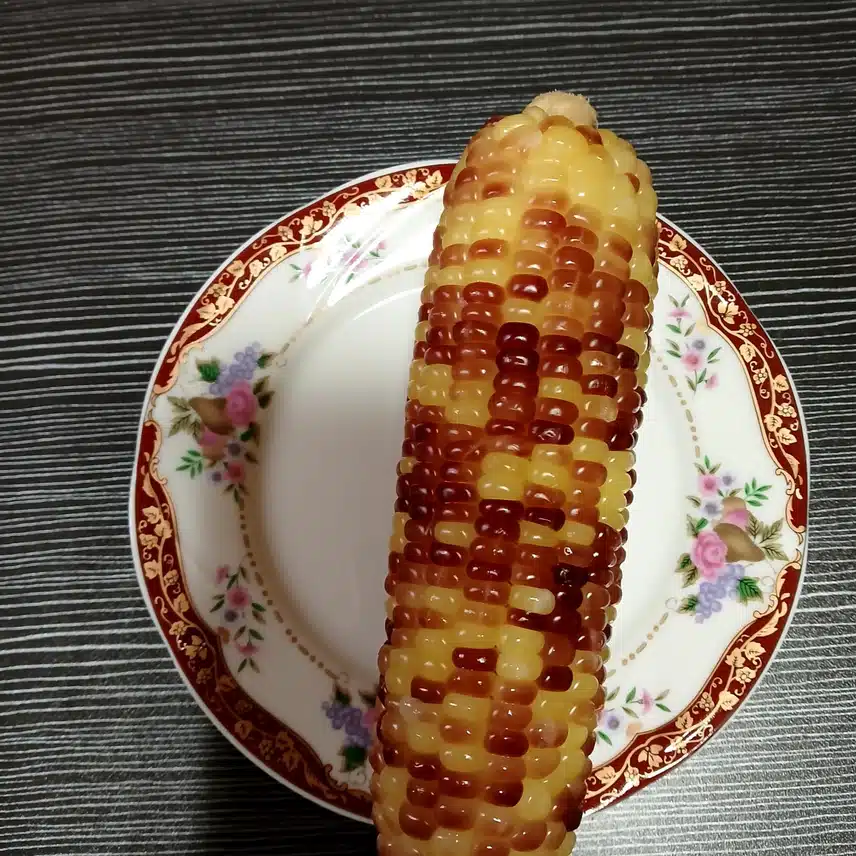 저녁은 간단하게 나의 최애로