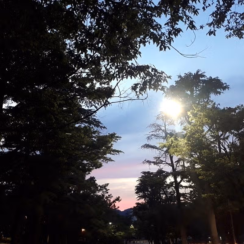 노을