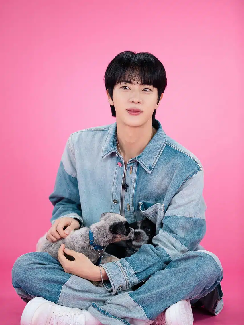 강아지랑 석진이 너무 귀여워요 