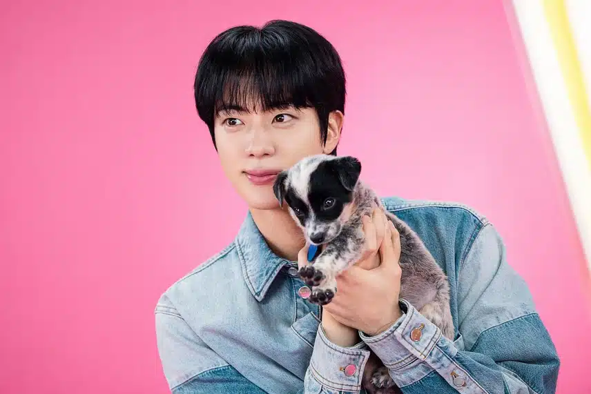 강아지랑 석진이 너무 귀여워요 