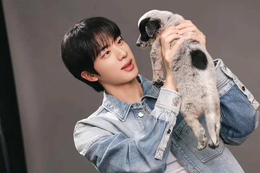 강아지랑 석진이 너무 귀여워요 